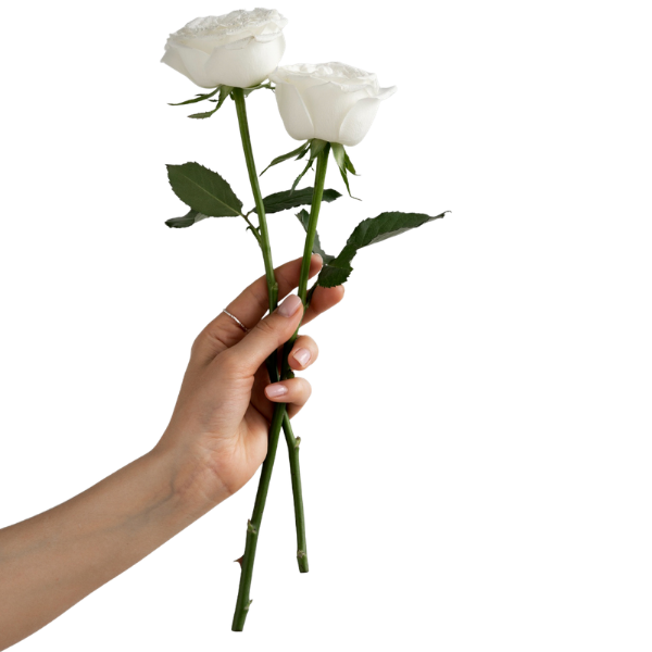 Rose Danse Main